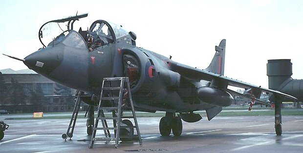 Harrier MK 8 entrenador